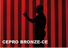 Бронзова захисна смуга Cepro Bronze-CE 300х2 мм