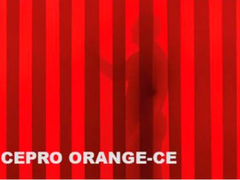 Червона захисна смуга Cepro Orange-CE 300х2 мм